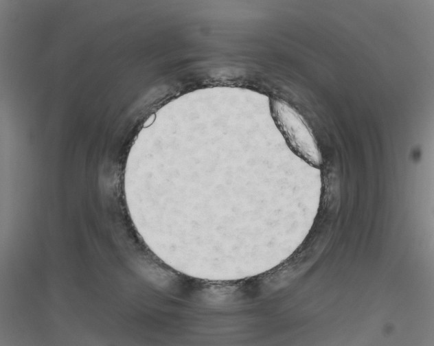 X0000116830278201001291649