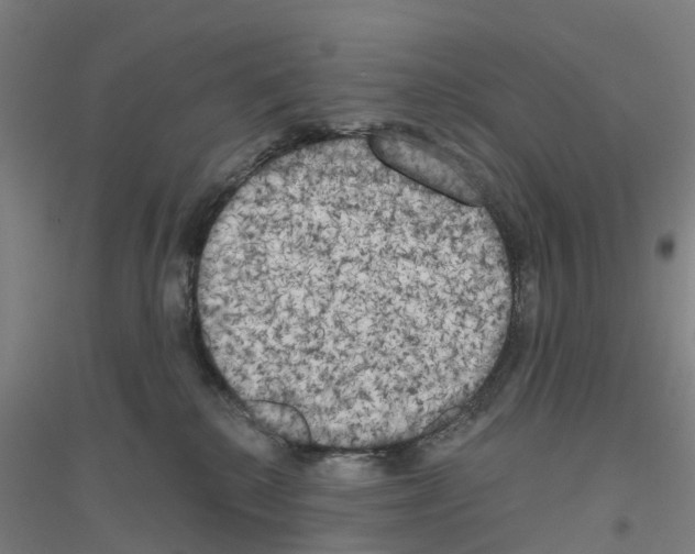 X0000116830280201001291649