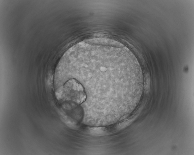 X0000116830281201001291649