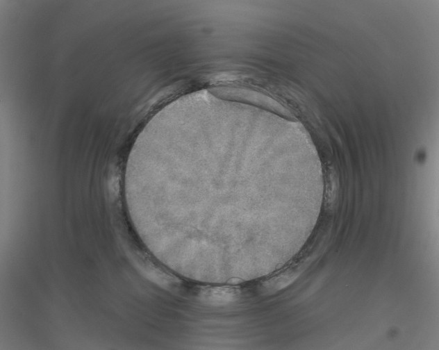 X0000116830282201001291649