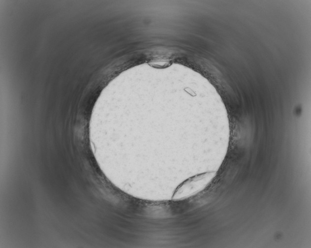 X0000116830283201001291649