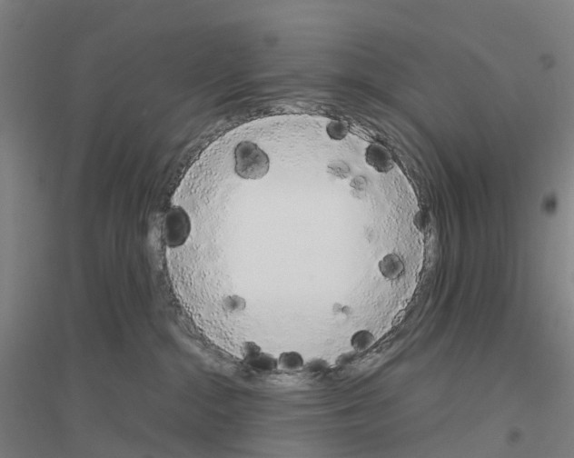 X0000116830284201001291649