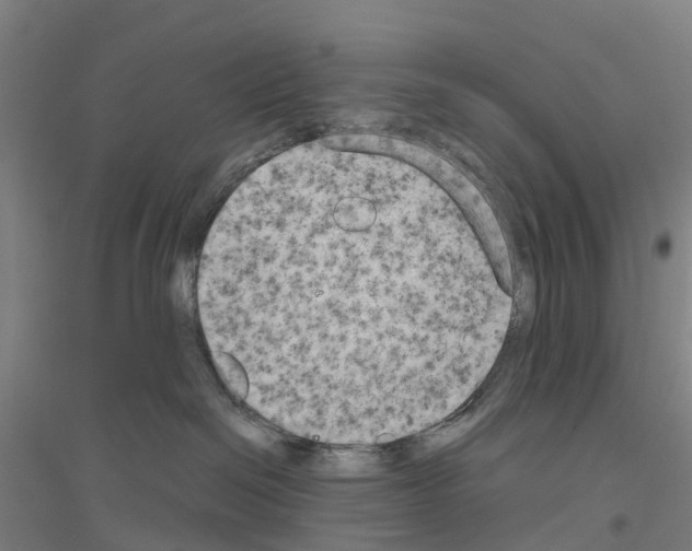 X0000116830286201001291649