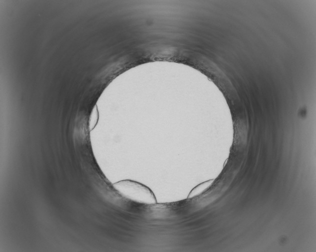 X0000116830287201001291649