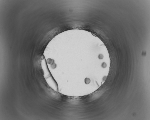 X0000116830288201001291649