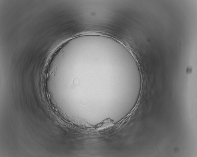 X0000116830289201001291649