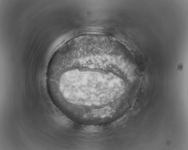 X0000116830293201001291649