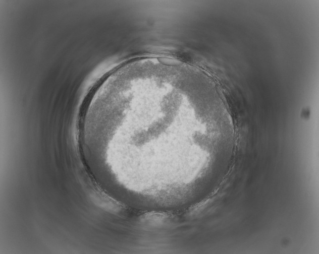 X0000116830294201001291649