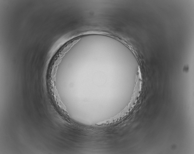 X0000116830296201001291649