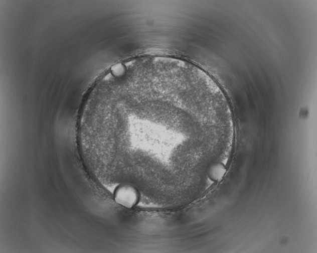 X0000116830297201001291649