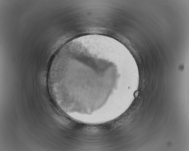 X0000116830299201001291649