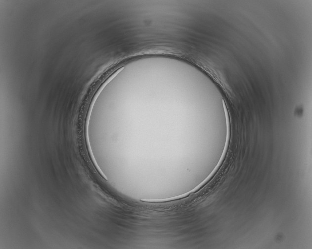 X0000116830300201001291649