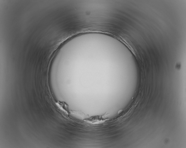 X0000116830301201001291649