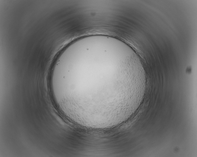 X0000116830302201001291649