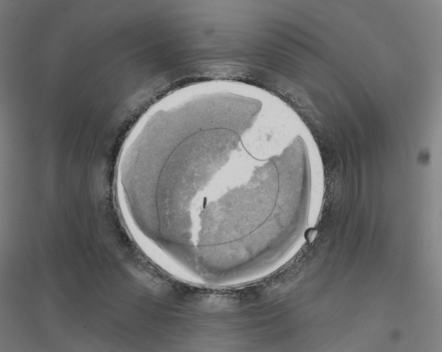 X0000116830303201001291649