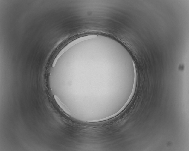 X0000116830304201001291649