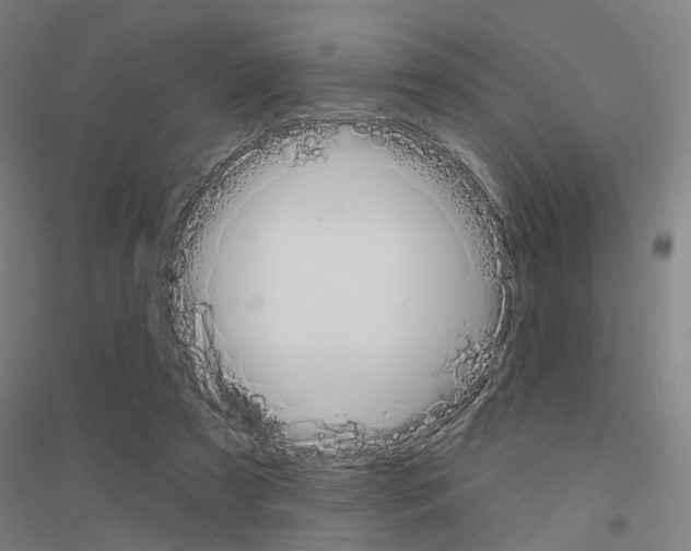 X0000116830305201001291649