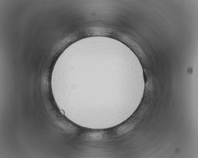 X0000116830306201001291649