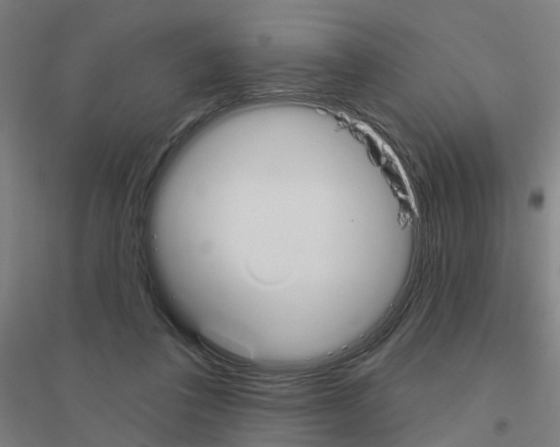 X0000116830308201001291648