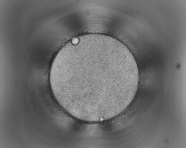 X0000116830309201001291648