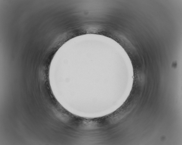 X0000116830311201001291648