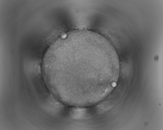 X0000116830313201001291648