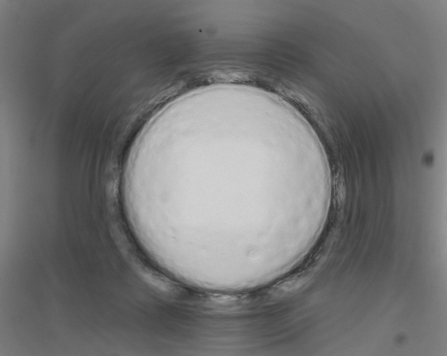 X0000116830315201001291648