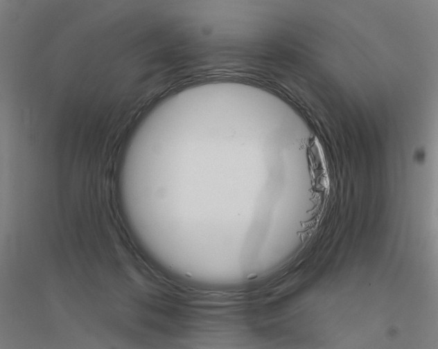 X0000116830316201001291648