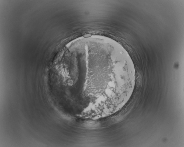 X0000116830319201001291648