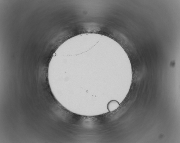 X0000116830321201001291648