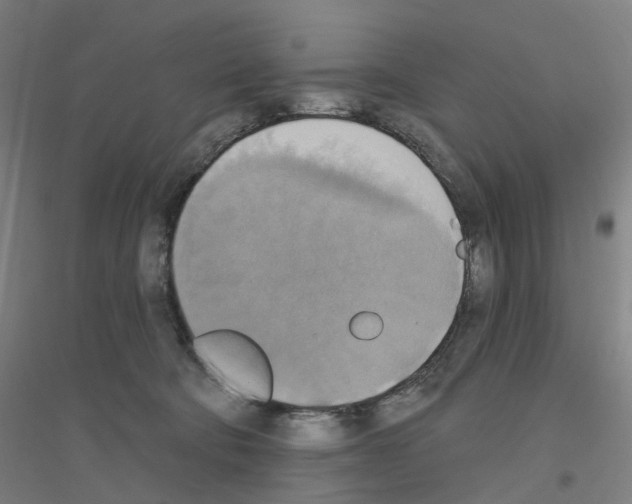 X0000116830322201001291648