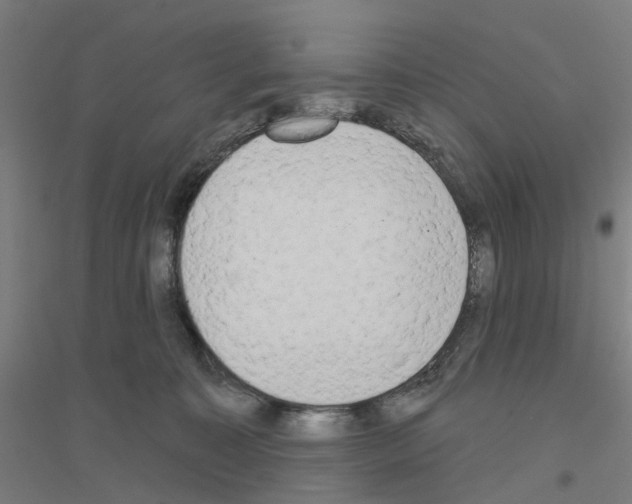 X0000116830323201001291648