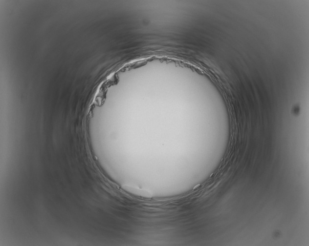 X0000116830325201001291648