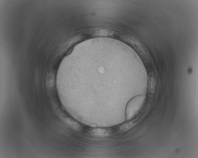 X0000116830326201001291648