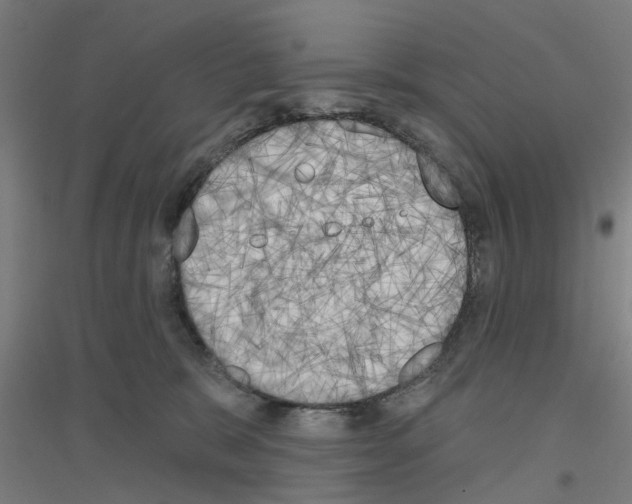 X0000116830327201001291648