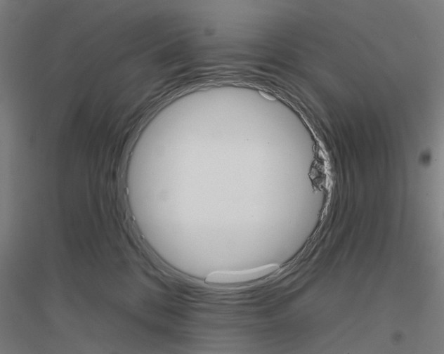 X0000116830328201001291648