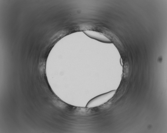 X0000116830329201001291648