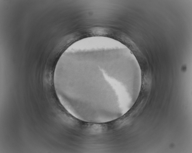 X0000116830330201001291648