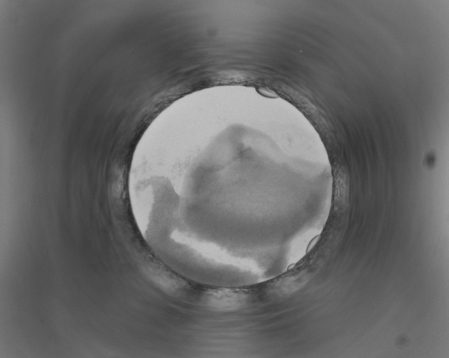 X0000116830331201001291648