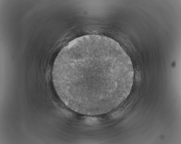 X0000116830332201001291648