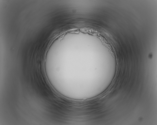 X0000116830333201001291648