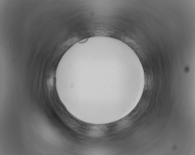 X0000116830334201001291648