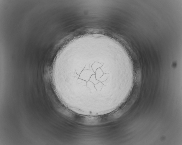 X0000116830335201001291648