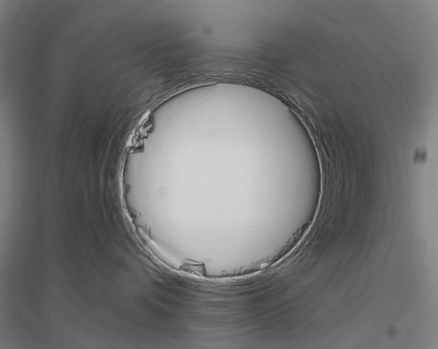 X0000116830336201001291648