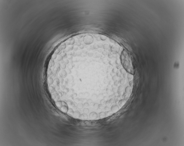 X0000116830338201001291647