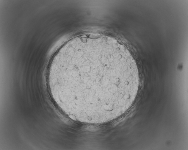 X0000116830341201001291648