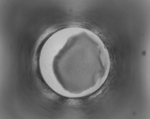 X0000116830343201001291648