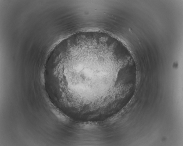 X0000116830345201001291648