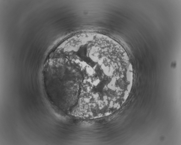 X0000116830346201001291648