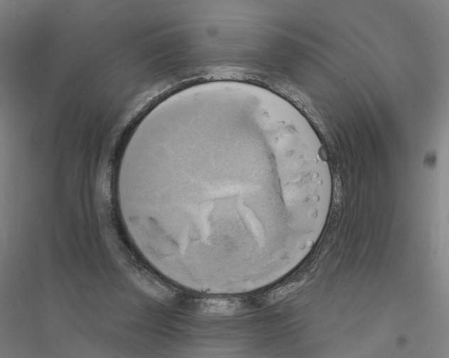 X0000116830347201001291648